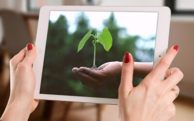 Corporate philanthropy: what is it and how to raise donations?